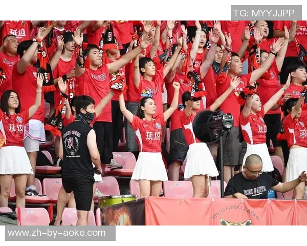 足球年费的价值与影响如何提升球迷体验与俱乐部收益 足球年费的价值与影响如何提升球迷体验与俱乐部收益